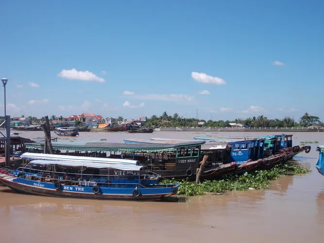 Ảnh dự thi “Vì môi trường xanh” (Phần 1) ảnh 4